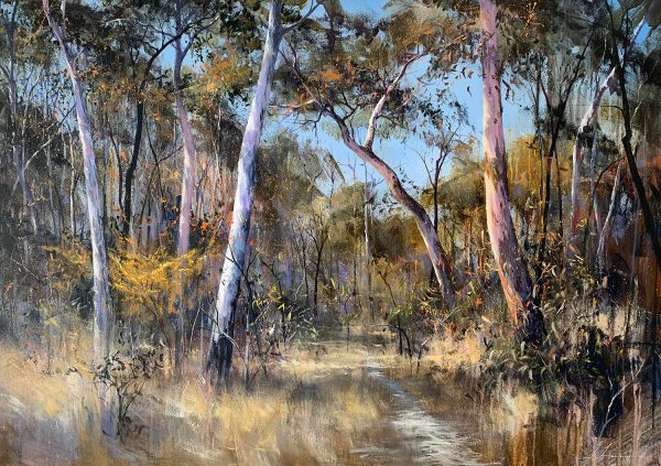 Bush Track to Seven Mile Beach Gary Laird